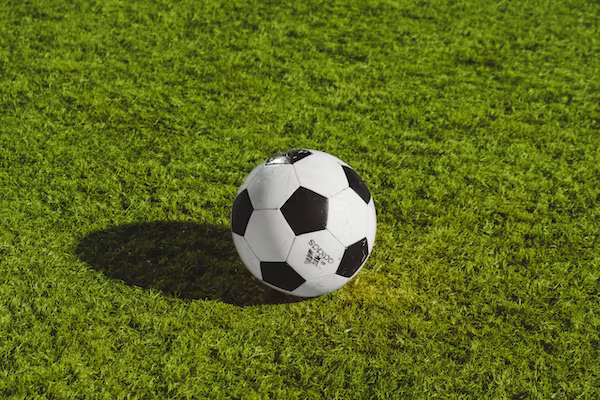 Фотография мяча на поле